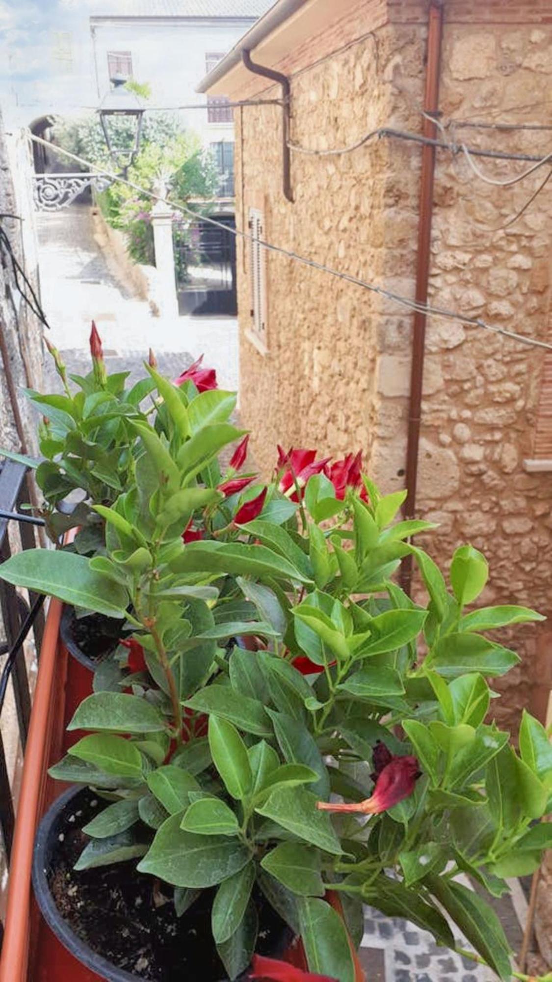Modern Apartment Near Arce City Centre 62 M² Parking Buitenkant foto